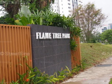 Flame Tree Park #13892